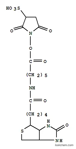 Molecular Structure of 109940-19-4 (SULPHOSUCCINIMIDYL-6-(BIOTINAMIDO)HEXANOATE)