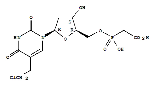 Uridine,5-(2-chloroethyl)-2'-deoxy-, 5'-[hydrogen (carboxymethyl)phosphonate] (9CI)