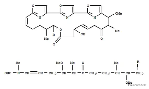 Molecular Structure of 116302-30-8 (Formamide,N-[11-(16-hydroxy-10-methoxy-11,21-dimethyl-12,18-dioxo-3,7,19,27-tetraoxa-29,30,31-triazatetracyclo[24.2.1.12,5.16,9]hentriaconta-2(31),4,6(30),8,13,24,26(29),28-octaen-20-yl)-4,10-dimethoxy-5,9-dimethyl-6-oxo-1-undecenyl]-N-methyl-(9CI))