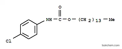 Molecular Structure of 146408-63-1 (3-Amino-4-chlorobenzoic acid tetradecyl ester)