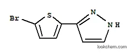Molecular Structure of 166196-67-4 (5-(5-BROMO-2-THIENYL)-1H-PYRAZOLE)
