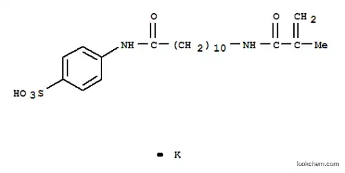 Molecular Structure of 174393-75-0 (potassium 4-(11-methacrylamidoundecanamido)benzenesulfonate)