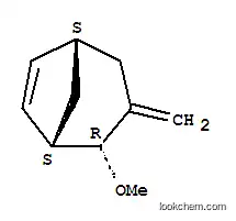 Bicyclo[3.2.1]oct-6-ene, 2-methoxy-3-methylene-, endo- (9CI)
