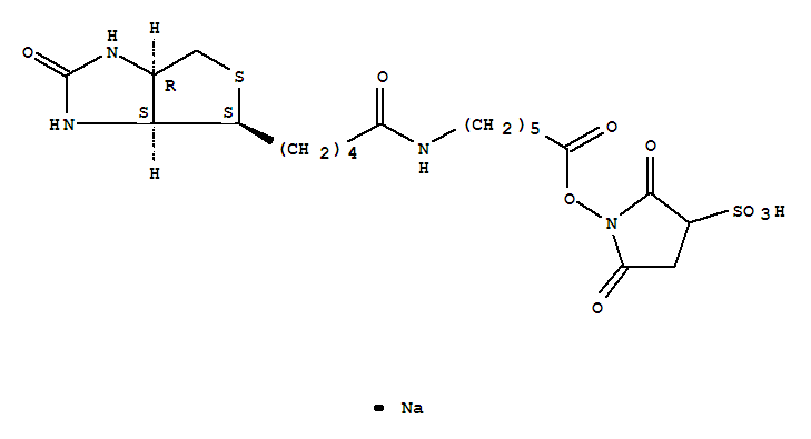 Hexanoic acid,6-[[5-[(3aS,4S,6aR)-hexahydro-2-oxo-1H-thieno[3,4-d]imidazol-4-yl]-1-oxopentyl]amino]-,2,5-dioxo-3-sulfo-1-pyrrolidinyl ester, sodium salt (1:1)(191671-46-2)