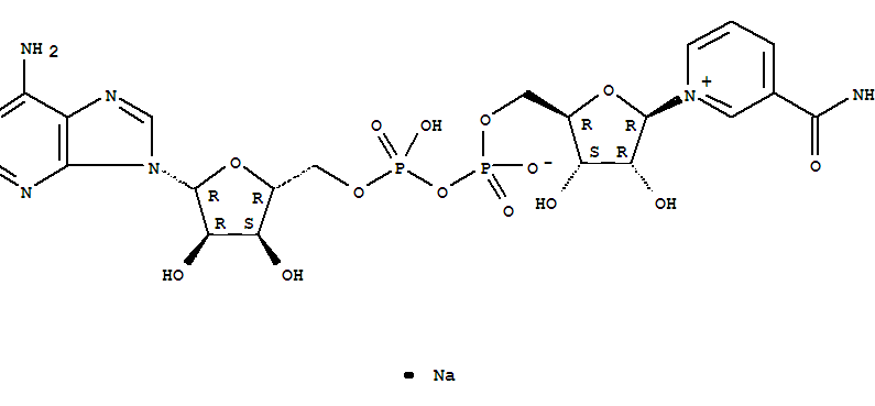 Adenosine5'-(trihydrogen diphosphate), P'&reg;5'-ester with 3-(aminocarbonyl)-1-b-D-ribofuranosylpyridinium, inner salt, monosodiumsalt (9CI)