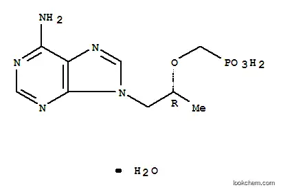 Molecular Structure of 206184-49-8 (9-[(R)-2-(Phosphonomethoxy)propyl]adenine monohydrate)