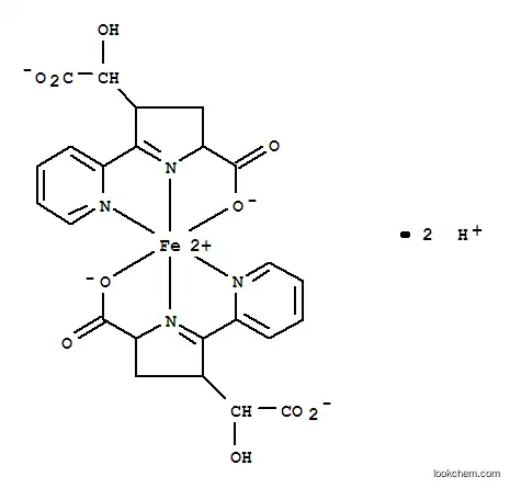 Molecular Structure of 21711-47-7 (Ferrate(2-),bis[2-(carboxy-kO)-3,4-dihydro-a-hydroxy-5-(2-pyridinyl-kN)-2H-pyrrole-4-acetato(2-)-kN1]-, dihydrogen (9CI))