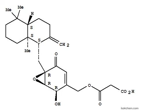 Molecular Structure of 220229-90-3 (Propanedioic acid,1-[[(1R,2R,6R)-6-[[(1S,4aS,8aS)-decahydro-5,5,8a-trimethyl-2-methylene-1-naphthalenyl]methyl]-2-hydroxy-5-oxo-7-oxabicyclo[4.1.0]hept-3-en-3-yl]methyl]ester)