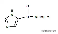 Molecular Structure of 304457-87-2 (1H-Imidazole-5-carboxamide,  N-(1,1-dimethylethyl)-)