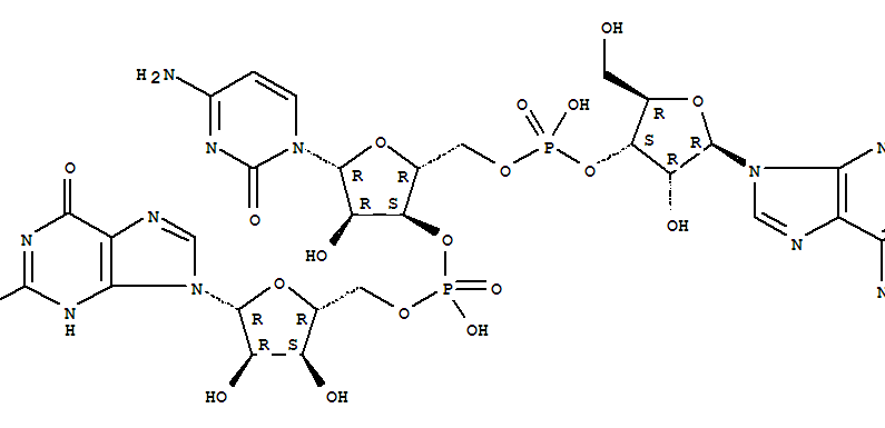 guanylyl-(5'-3')-cytidylyl-(5'-3')-adenosine