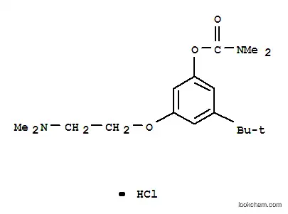 Molecular Structure of 118116-17-9 (3-tert-butyl-5-[2-(dimethylamino)ethoxy]phenyl dimethylcarbamate hydrochloride)