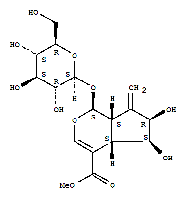 Molecular Structure of 156764-78-2 (Cyclopenta[c]pyran-4-carboxylicacid, 1-(b-D-glucopyranosyloxy)-1,4a,5,6,7,7a-hexahydro-5,6-dihydroxy-7-methylene-,methyl ester, (1S,4aS,5S,6R,7aS)- (9CI))
