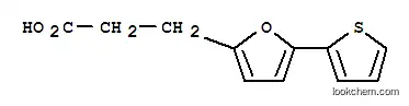 Molecular Structure of 24090-38-8 (3-(5-THIOPHEN-2-YL-FURAN-2-YL)-PROPIONIC ACID)