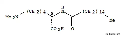 Molecular Structure of 17196-53-1 (N6,N6-dimethyl-N2-palmitoyl-L-lysine)