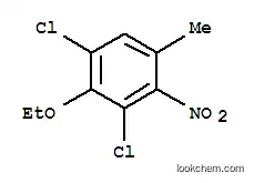 Molecular Structure of 67828-38-0 (1,3-Dichloro-2-ethoxy-5-methyl-4-nitrobenzene)
