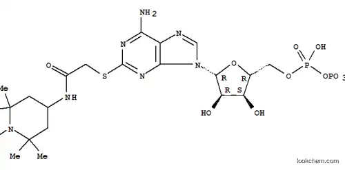 Molecular Structure of 69924-32-9 (1-Piperidinyloxy,4-[[[[6-amino-9-[5-O-[hydroxy(phosphonooxy)phosphinyl]-b-D-ribofuranosyl]-9H-purin-2-yl]thio]acetyl]amino]-2,2,6,6-tetramethyl-(9CI))
