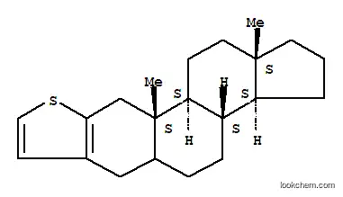 Molecular Structure of 77257-45-5 (Androst-2-eno[2,3-b]thiophene(9CI))