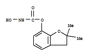 Carbamic acid,hydroxy-, 2,3-dihydro-2,2-dimethyl-7-benzofuranyl ester (9CI)