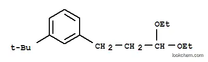 Molecular Structure of 84145-56-2 ((3-tert-butyl)-1-(3,3-diethoxypropyl)benzene)
