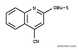 Molecular Structure of 855165-25-2 (Cinchoninonitrile,  2-tert-butoxy-  (4CI))