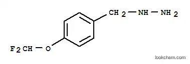 Molecular Structure of 887596-65-8 ([4-(DIFLUOROMETHOXY)BENZYL]HYDRAZINE HYDROCHLORIDE)