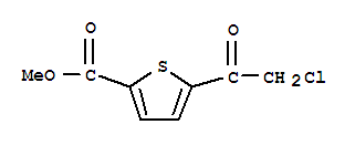 2-THIOPHENECARBOXYLIC ACID 5-(CHLOROACETYL)-,METHYL ESTER