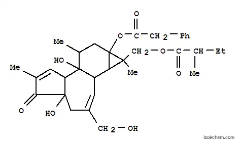 Molecular Structure of 64854-98-4 (Benzeneacetic acid 1,1a,1b,4,4a,5,7a,7b,8,9-decahydro-4a,7b-dihydroxy-3-(hydroxymethyl)-1,6,8-trimethyl-1-[(2-methyl-1-oxobutoxy)methyl]-5-oxo-9aH-cyclopropa[3,4]benz[1,2-e]azulen-9a-yl ester)