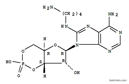 Molecular Structure of 82927-68-2 (8-(4-AMINOBUTYL) AMINOADENOSINE-3',5'-CYCLIC MONOPHOSPHATE)
