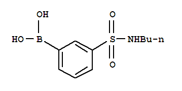 3-N-BUTYLSULFAMOYLPHENYLBORONIC ACID