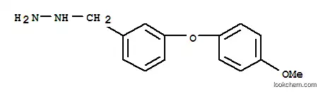 Molecular Structure of 887595-99-5 (3-(4-METHOXY-PHENOXY)-BENZYL-HYDRAZINE)