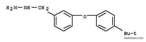 Molecular Structure of 887596-01-2 (3-(4-TERT-BUTYL-PHENOXY)-BENZYL-HYDRAZINE)