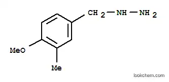 Molecular Structure of 887596-60-3 (3-METHYL-4-METHOXY-BENZYL-HYDRAZINE)