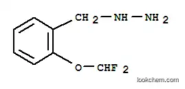 Molecular Structure of 887596-66-9 (1-([2-(difluoromethoxy)phenyl]methyl)hydrazine)