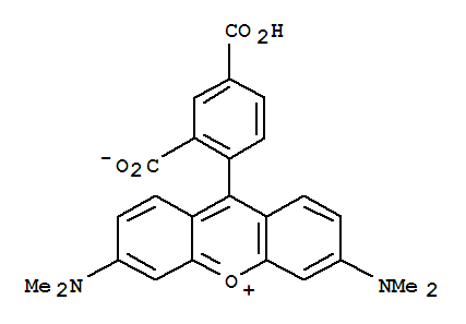 5-Carboxytetramethylrhodamine;(5-TAMRA)