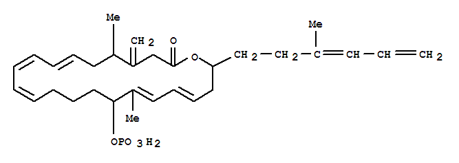 Oxacyclodocosa-7,9,11,17,19-pentaen-2-one,5,17-dimethyl-4-methylene-22-(3-methyl-3,5-hexadien-1-yl)-16-(phosphonooxy)-
