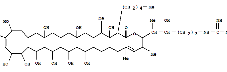 Molecular Structure of 102675-32-1 (Guanidine,[5-[10,12,14,16,18,19,22,26,30,34-decahydroxy-3,5,21,33-tetramethyl-36-oxo-35-pentyloxacyclohexatriaconta-4,20-dien-2-yl]-4-hydroxyhexyl]-(9CI))
