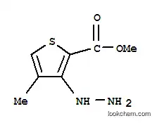 Molecular Structure of 104680-36-6 (METHYL 3-HYDRAZINO-4-METHYLTHIOPHENE-2-CARBOXYLATE)