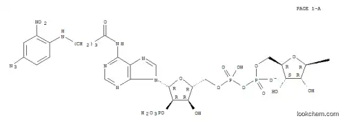 Molecular Structure of 105450-72-4 (N-4-azido-2-nitrophenyl aminobutyryl NADP)