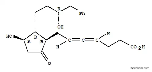 Molecular Structure of 106847-47-6 (4,5-Heptadienoic acid,7-[(1R,2R,3R)-3-hydroxy-2-[(3R)-3-hydroxy-4-phenylbutyl]-5-oxocyclopentyl]-)