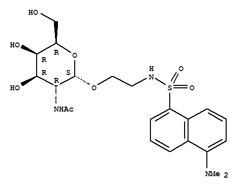 2-DANSYLAMINOETHYL-N-ACETYLGALACTOSAMINE