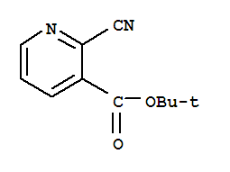 TERT-BUTYL-2-CYANONICOTINATE
