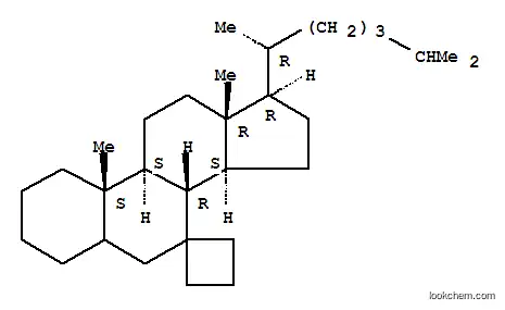 Spiro[cholestane-7,1'-cyclobutane](9CI)
