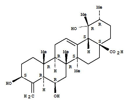 Molecular Structure of 123135-06-8 (24-Norursa-4(23),12-dien-28-oicacid, 3,6,19-trihydroxy-, (3b,6b)- (9CI))