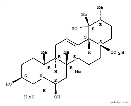 24-Norursa-4(23),12-dien-28-oicacid, 3,6,19-trihydroxy-, (3b,6b)- (9CI)