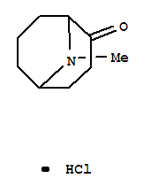 9-Azabicyclo[3.3.1]nonan-2-one,9-methyl-, hydrochloride (1:1)