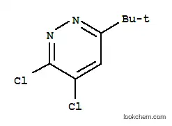 Molecular Structure of 124420-73-1 (6-tert-butyl-3,4-dichloropyridazine)