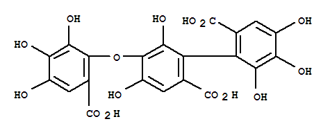 Molecular Structure of 124814-79-5 ([1,1'-Biphenyl]-2,2'-dicarboxylicacid, 5-(6-carboxy-2,3,4-trihydroxyphenoxy)-4,4',5',6,6'-pentahydroxy-)