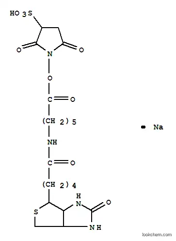 Molecular Structure of 127062-22-0 (SULPHOSUCCINIMIDYL-6-(BIOTINAMIDO)HEXANOATE)
