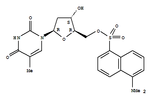 Thymidine,5'-[5-(dimethylamino)-1-naphthalenesulfonate] (9CI)