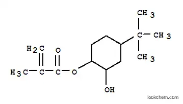 Molecular Structure of 128840-36-8 (4-tert-butyl-2-hydroxycyclohexylmethacrylate)